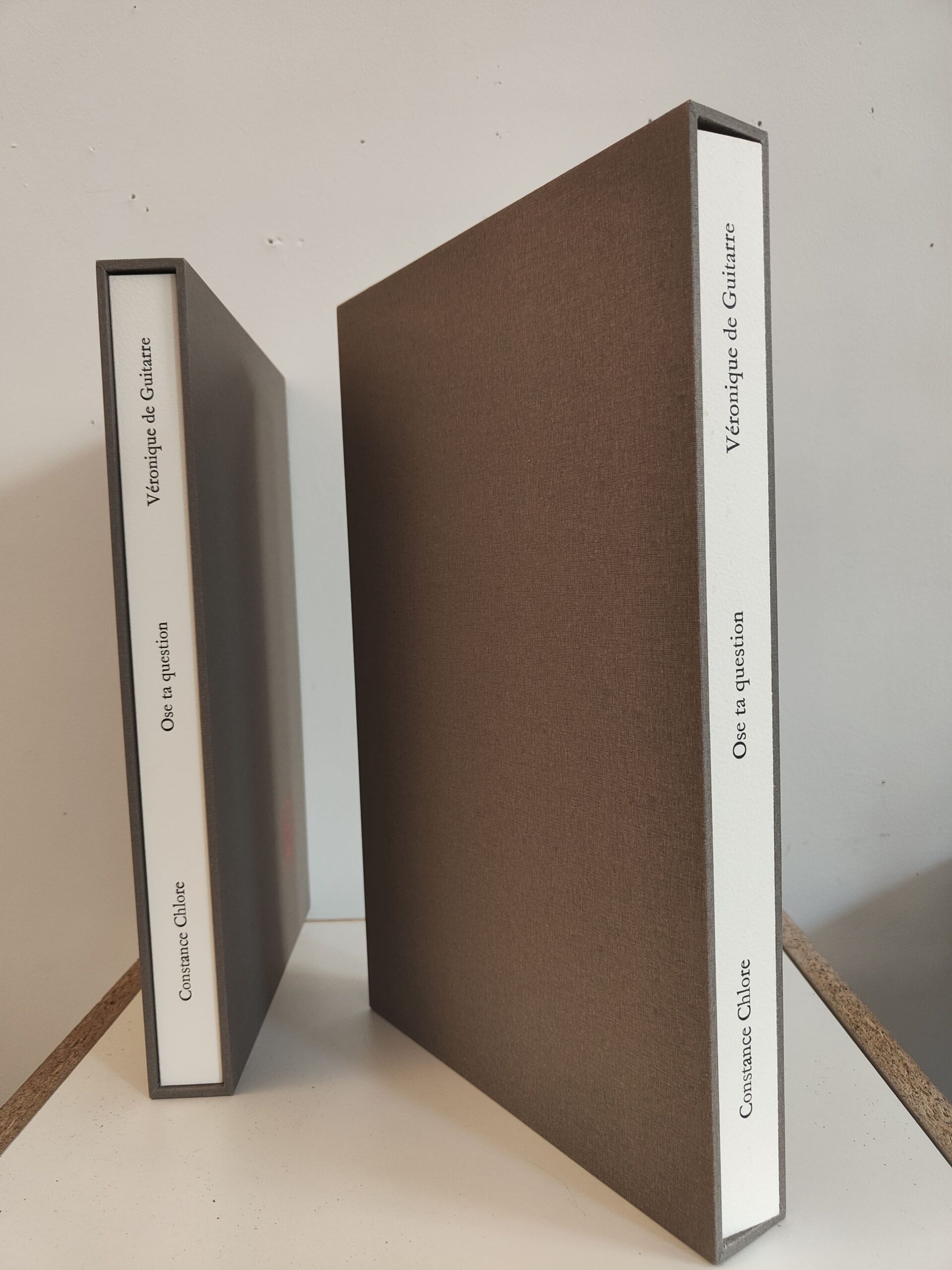 Ose ta question au sphinx qui s'ignore | Livre de Constance Chlore et Véronique de Guitarre